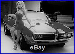 1967 Firebird 1 Pontiac Built Car 12 Race Sport Model 24 Carousel Black 18 gto 8