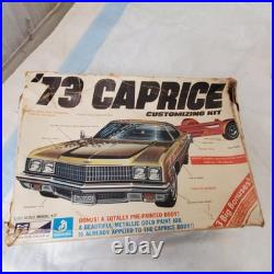 Polar Lights Great American Rides AMT Styline 73 Caprice Customizing Kit Lot Car