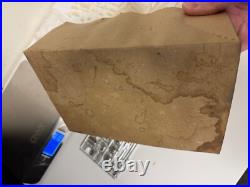 Vintage AMT 1959'59 EL CAMINO CAMPER Model Kit Unbuild / READ